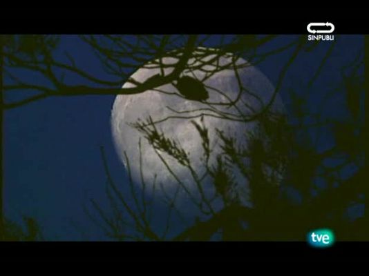 Jara y sedal - Una grata sorpresa