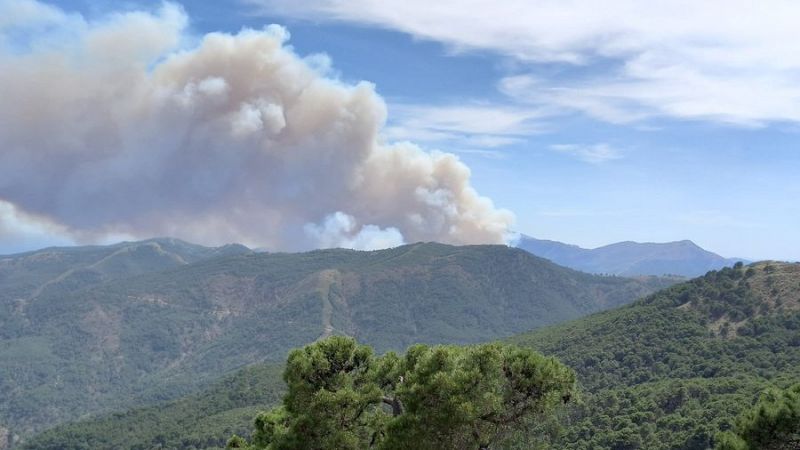 Desalojan a 60 personas por el incendio declarado en Sierra Bermeja, Málaga