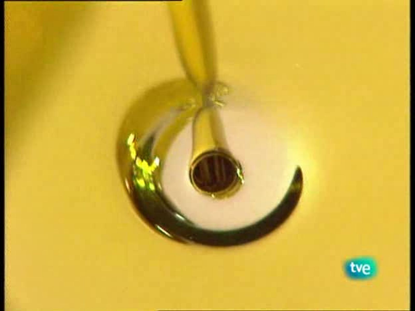 A pedir de boca - Aceite denominación de origen Sierra de Segura - A pedir de boca | Ver