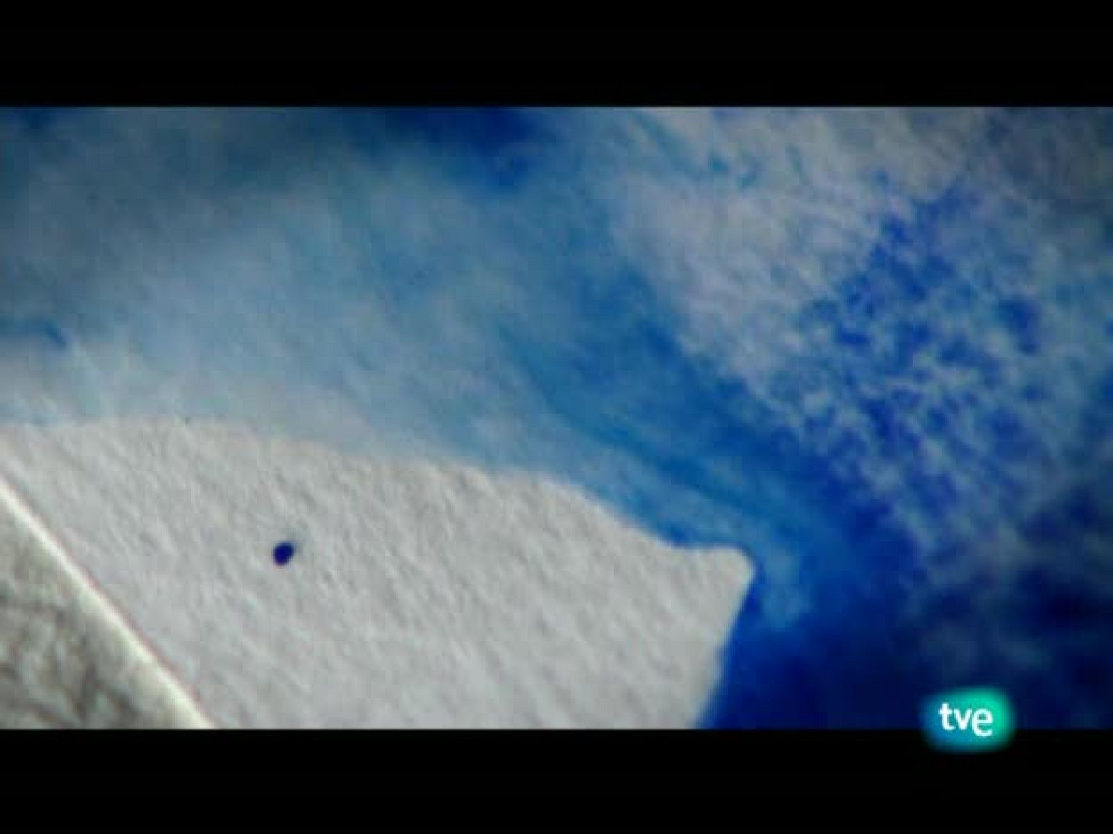 Espacios naturales - Reservas de la biosfera - Reserva intercontinental del Mediterraneo | Ver