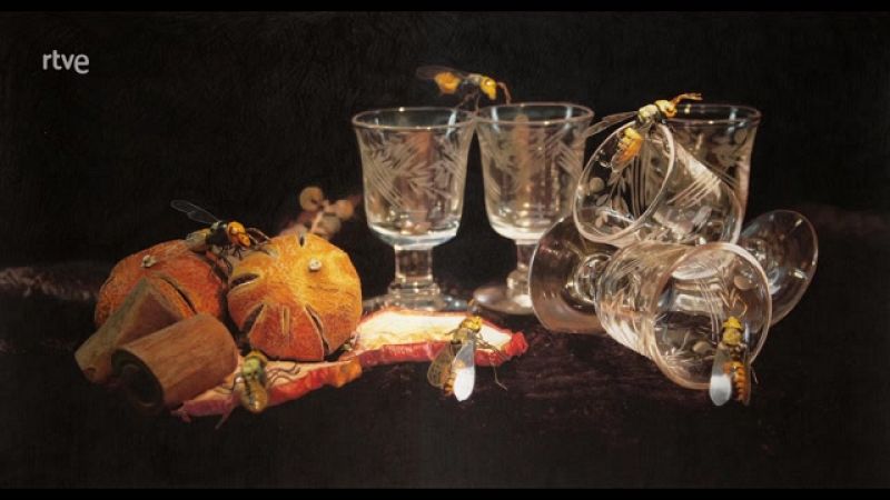 La aventura del saber - Boek visual: Ana de Alvear - ver ahora