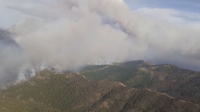 Incendio de Sierra Bermeja - Ver ahora