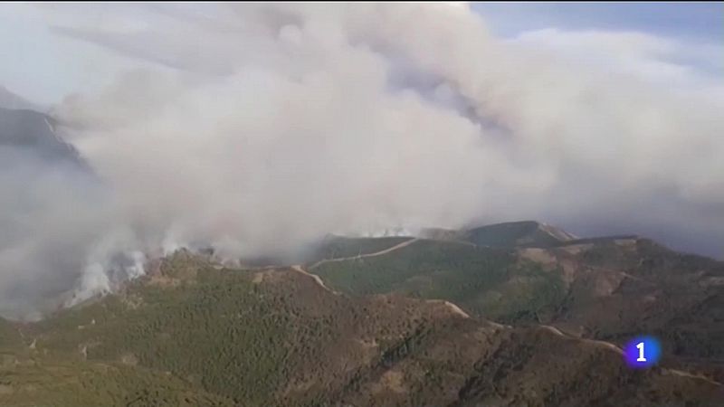Incendio de Sierra Bermeja - Ver ahora