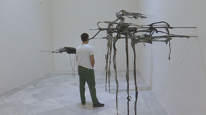 Noticias Andalucía - 'Extraño' en el CAAC