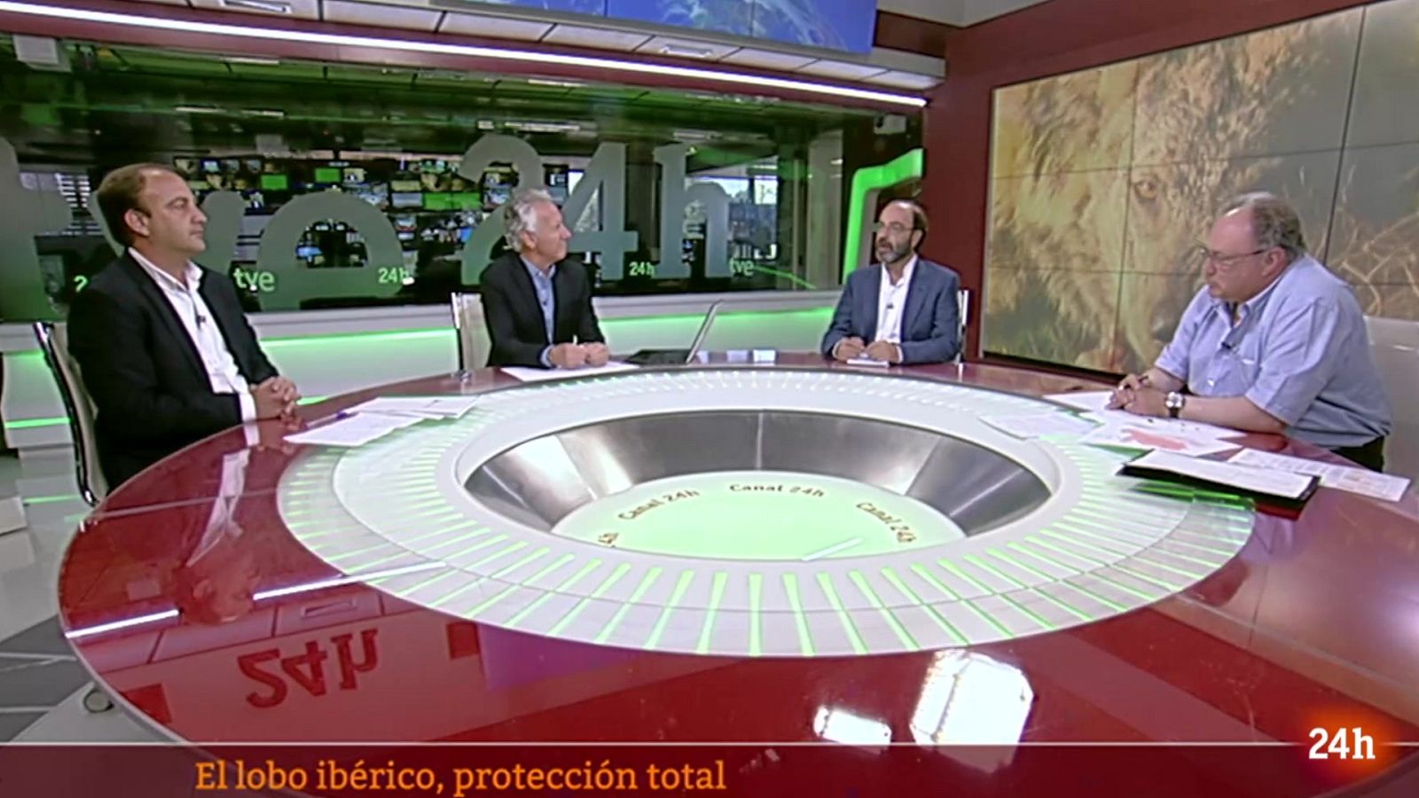 Objetivo Planeta - El lobo ibérico, protección total - ver ahora