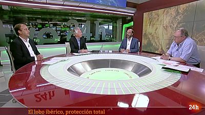 El lobo ibérico, protección total