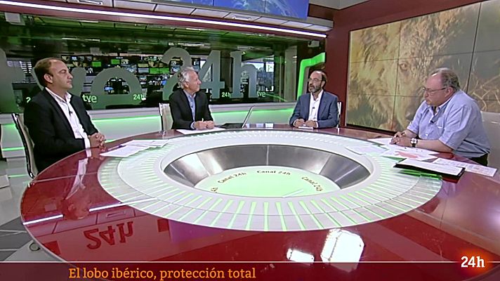 Objetivo Planeta - El lobo ibérico, protección total
