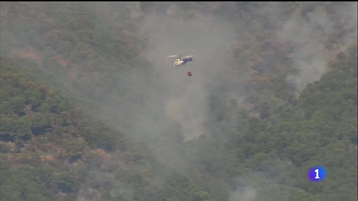 Incendio forestal en Pujerra