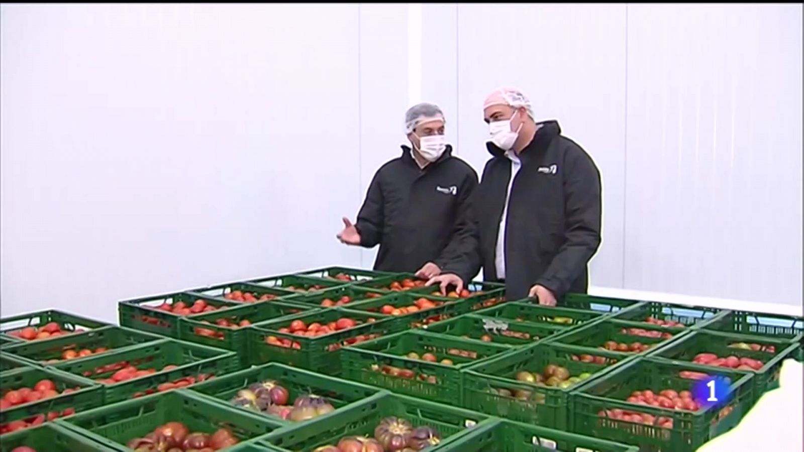 Noticias Andalucía: Día 8 de campaña: Moreno se encuentra con el sector agroalimentario | RTVE Play