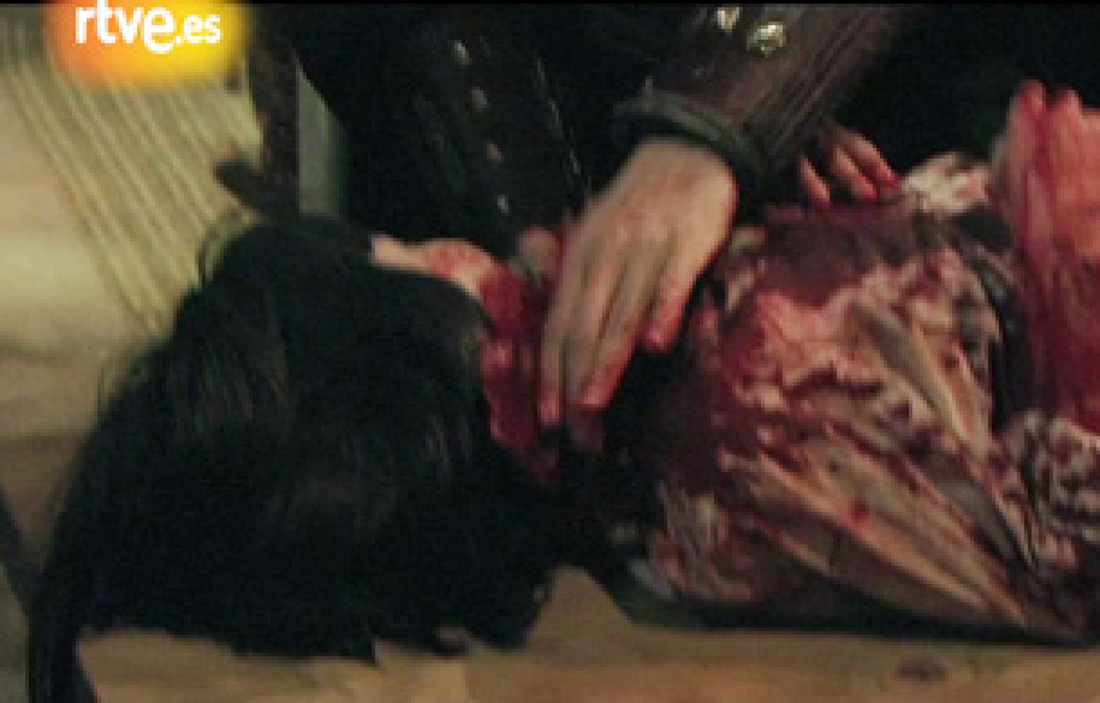 Águila Roja - Mi escena favorita - Roberto Álamo - Águila Roja | Ver