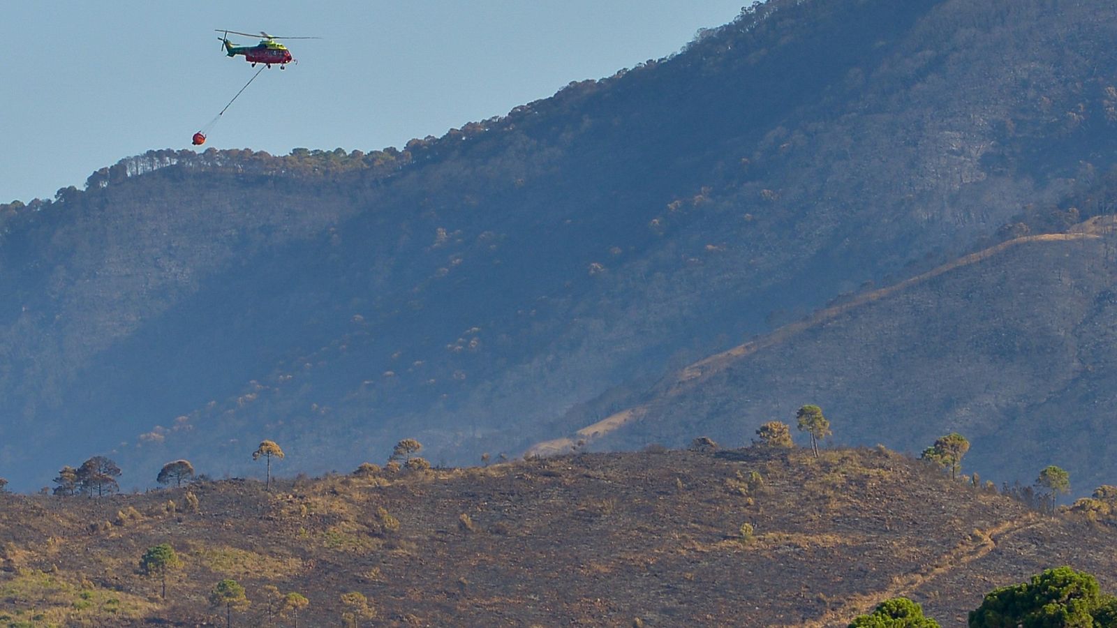 El viento dificulta las tareas para controlar el incendo en Sierra Bermeja