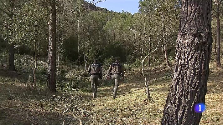 Bona part de Catalunya en alerta per risc d'incendi