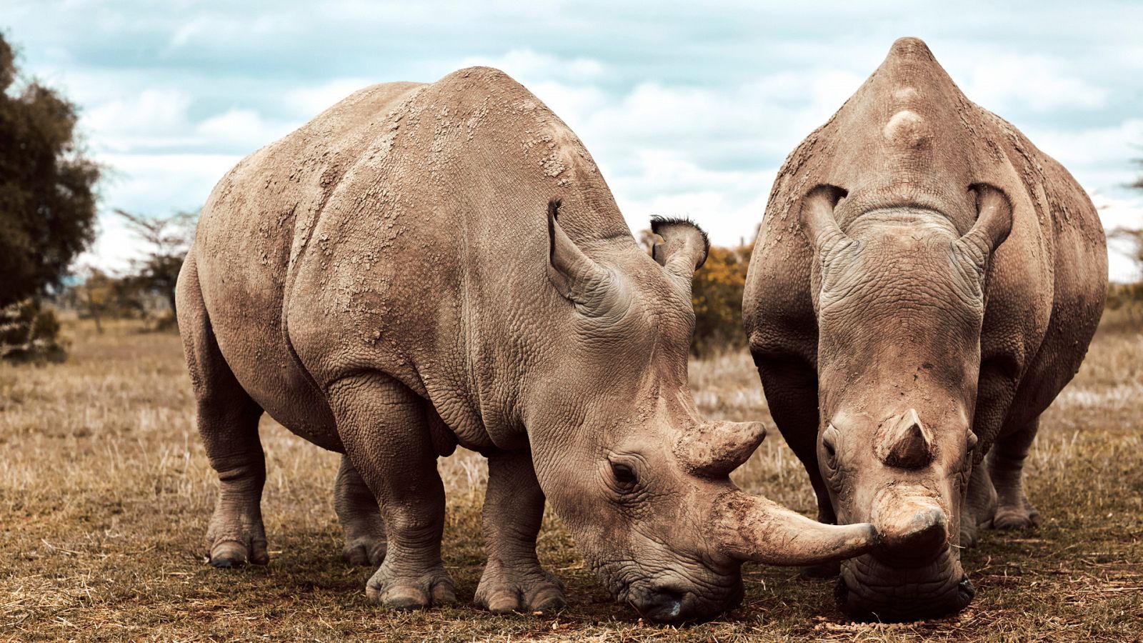 Siete mundos un planeta - África - ver ahora