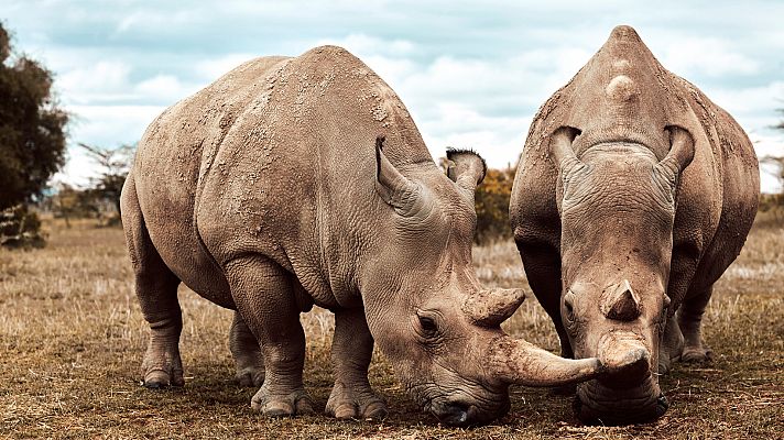 Siete mundos un planeta - África