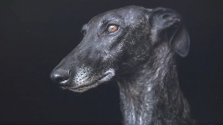 Telediario 1 - Arte y compromiso social en PhotoEspaña