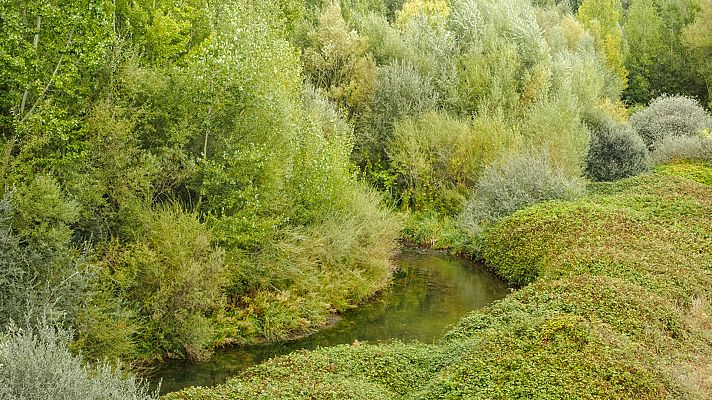 La ribera del Esla y sus monumentos