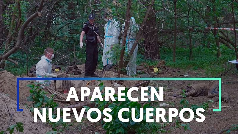 Hallan siete cuerpos con las manos atadas en una fosa común cerca de Bucha - Ver ahora