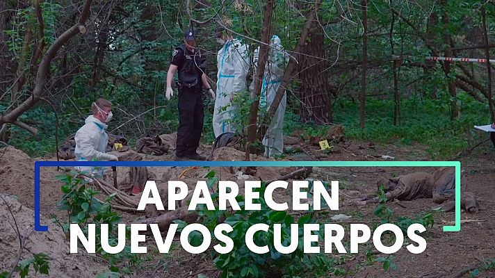 Hallan siete cuerpos en una fosa común en Bucha