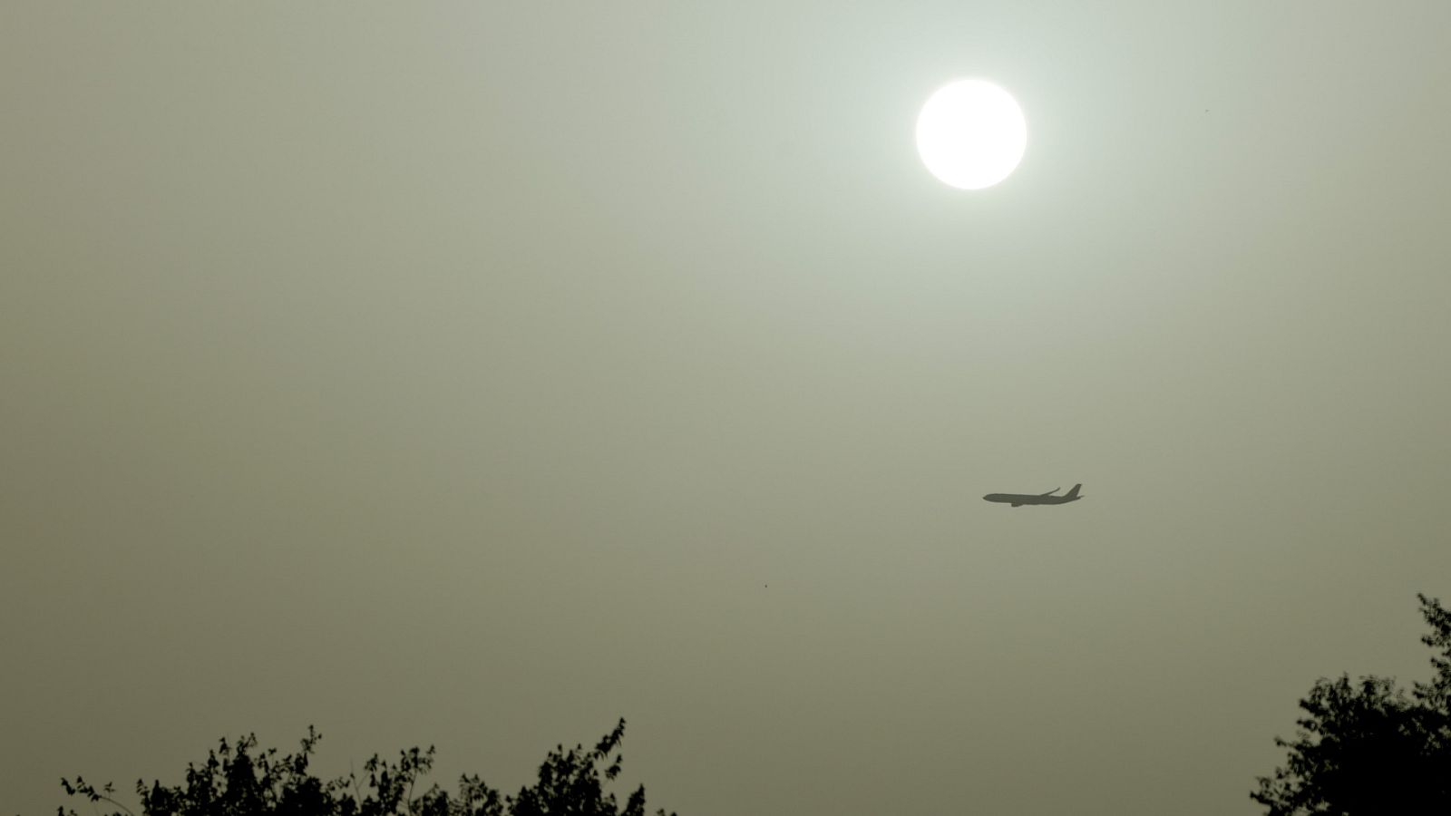 Diario 24 - 15/06/22 (1) - ver ahora