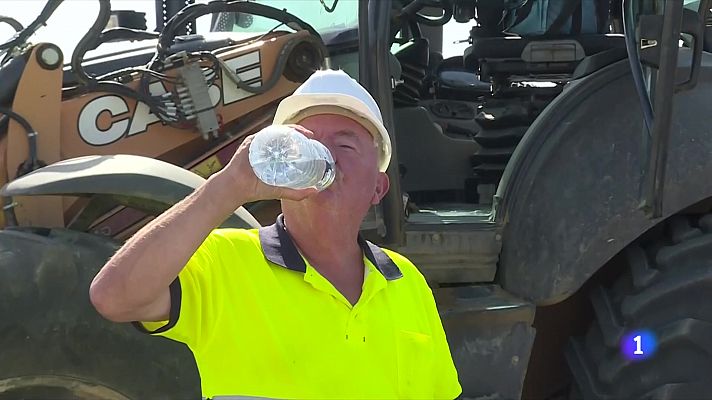 Treballar sota la calor: els sectors més afectats