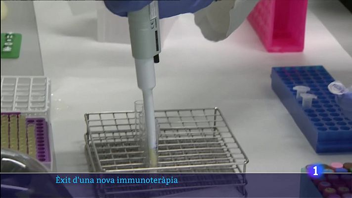 Una immunoteràpia contra els limfomes de Hodgkin obté bons resultats