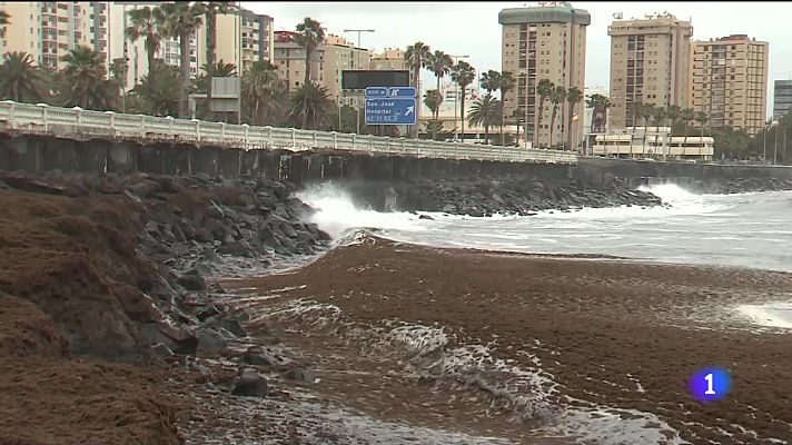 Telecanarias - Telecanarias - 15/06/2022