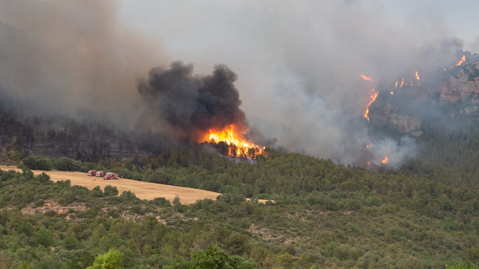 El calor complica la extinción de los incendios en Cataluña, Navarra y Zamora