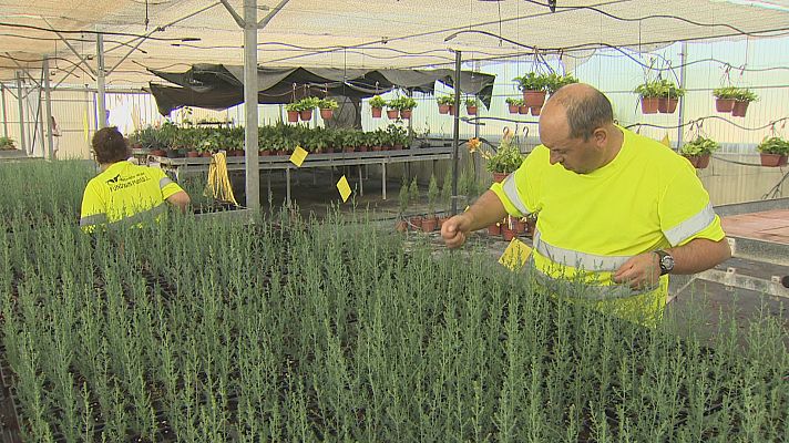 Fundown plant ayuda a personas con discapacidad a conseguir un empleo