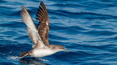 Somos documentales - Menorca, Reserva de la Biosfera - ver ahora