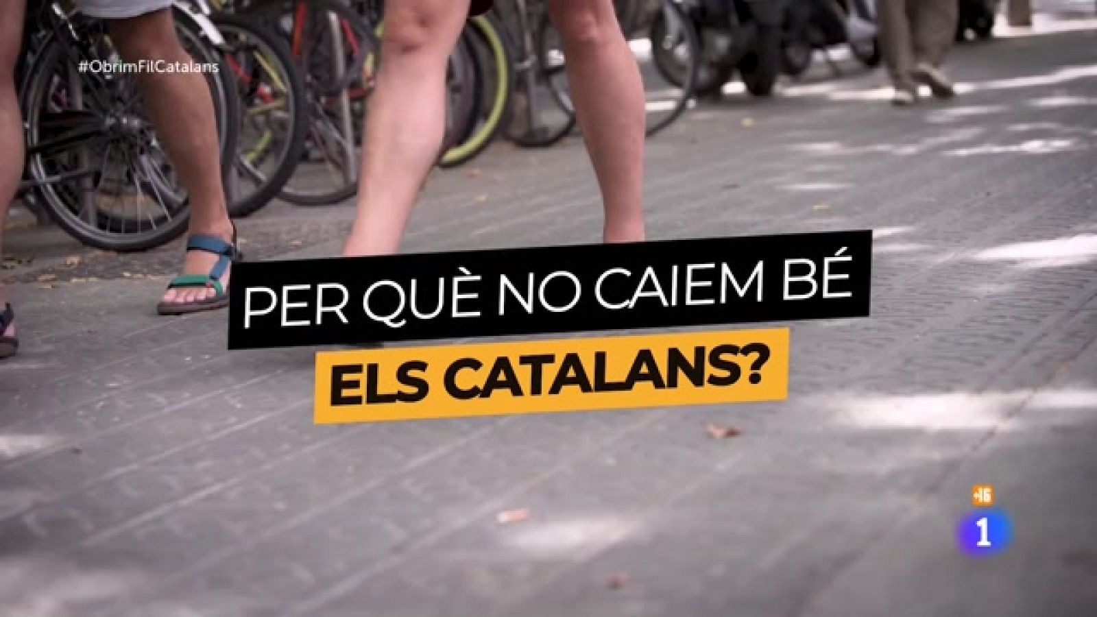 Obrim fil - Enquesta: com es percep als catalans?