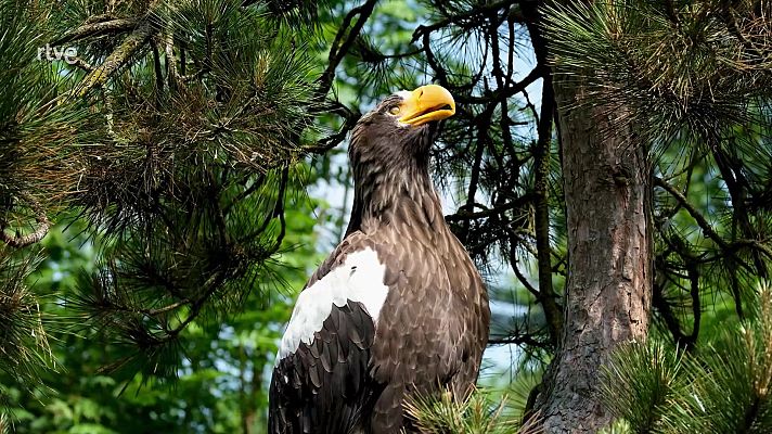 Universo UNED - UNED - 17/06/22