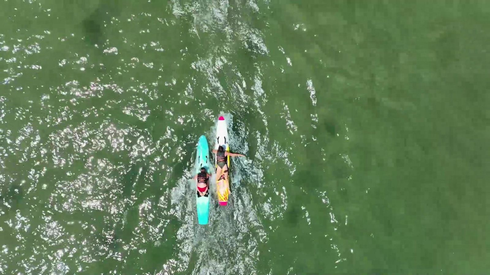 Surfing.es - T5 - Programa 20 - ver ahora