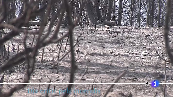 L'Informatiu - L'Informatiu - 17/06/2022