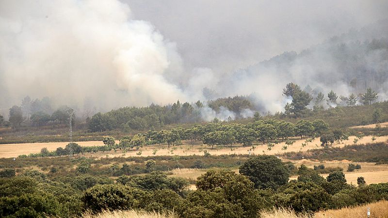 Arden 9.000 hectáreas en el incendio de Zamora y preocupan otros en Cataluña, Zaragoza y Navarra