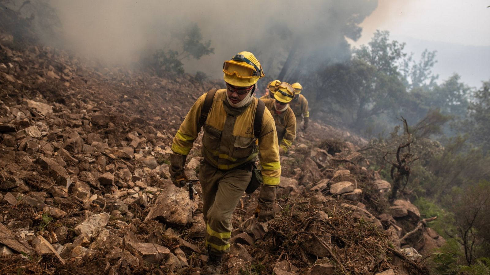 Oleada de incendios forestales en España