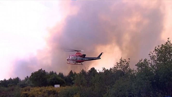 Incendios forestales: los principales consejos para prevenirlos  