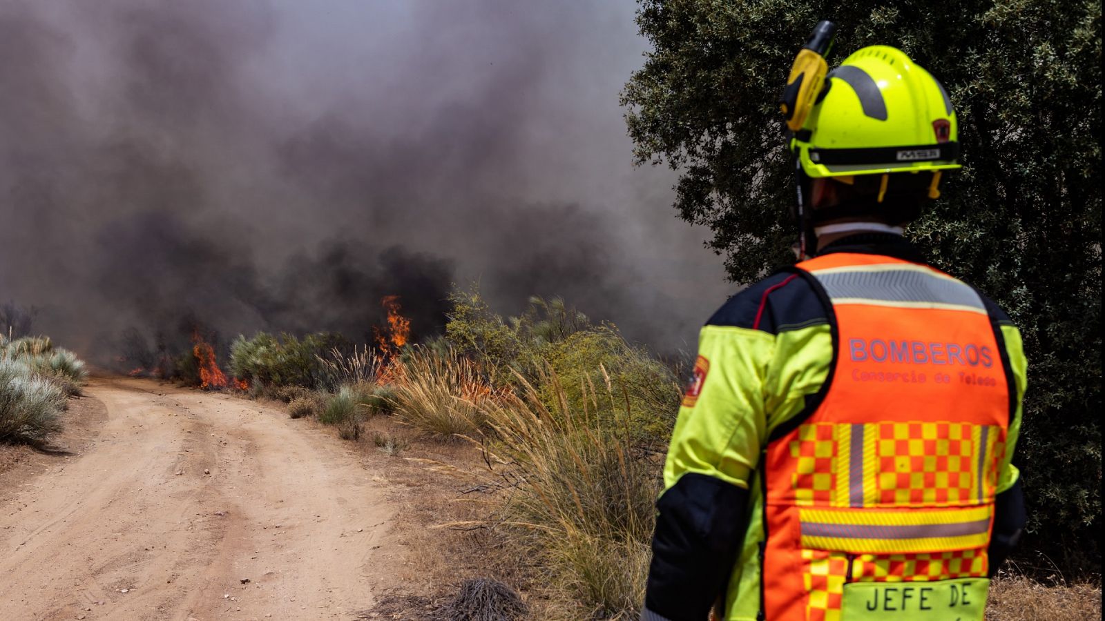 La tarde en 24 horas - 17/06/22 (1) - ver ahora