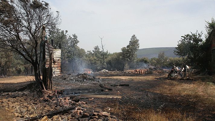 Telediario 2 - La ola de calor provoca decenas de fuegos por toda España