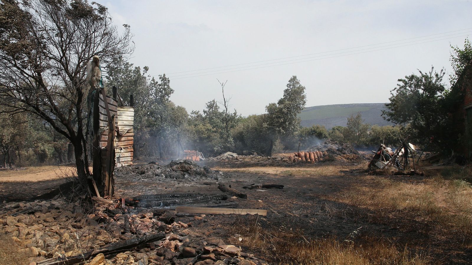 La ola de calor provoca decenas de fuegos por toda España 