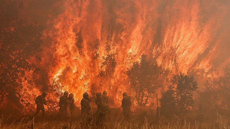 El fuego arrasa 25.000 hectáreas en Zamora