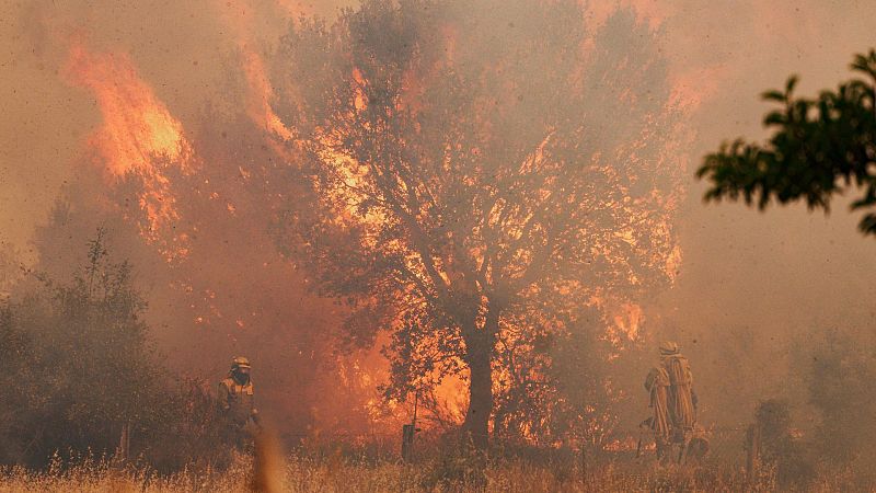 El incendio de Zamora sigue sin control aunque mejoran las condiciones