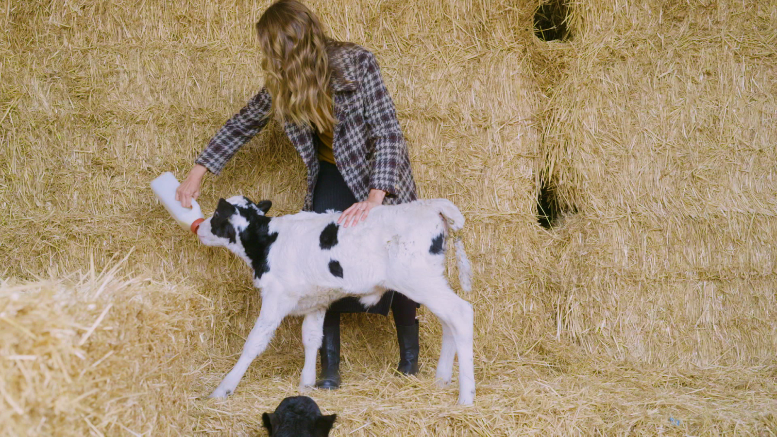 Planeta R - Formatges urbans, cementiris sense formigó i apps mòbils per aparcar