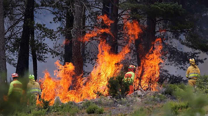 El incendio en Zamora está casi estabilizado