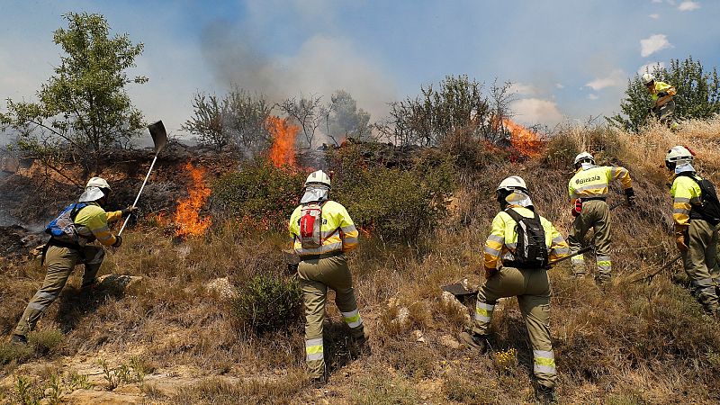 Siguen activos varios incendios forestales en la península