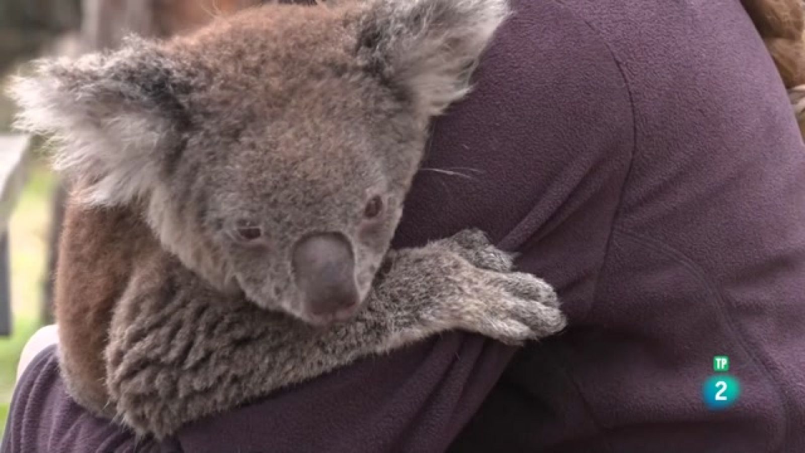 Turisme rural al món - Austràlia - Veure Ara