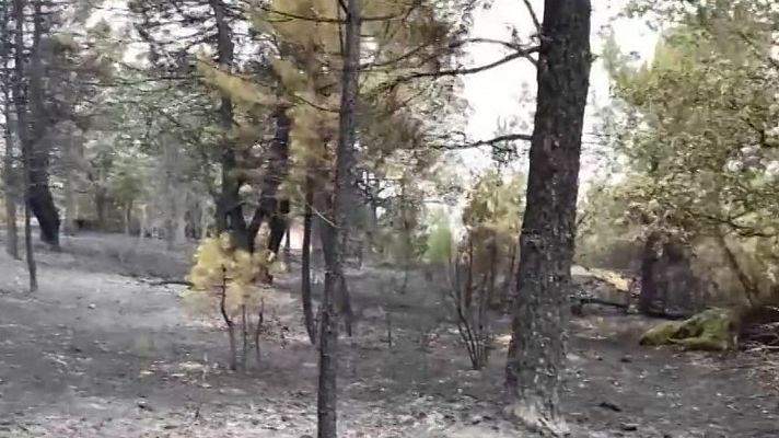 "Los desalojos por el incendio de Zamora provocan miedo"