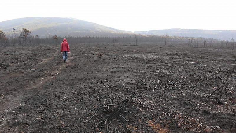 Los vecinos de Sierra Culebra denuncian que la Junta no ha cumplido con las labores de prevención de incendios