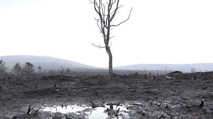 La tarde en 24h - La tarde en 24 horas - 20/06/22 (2)