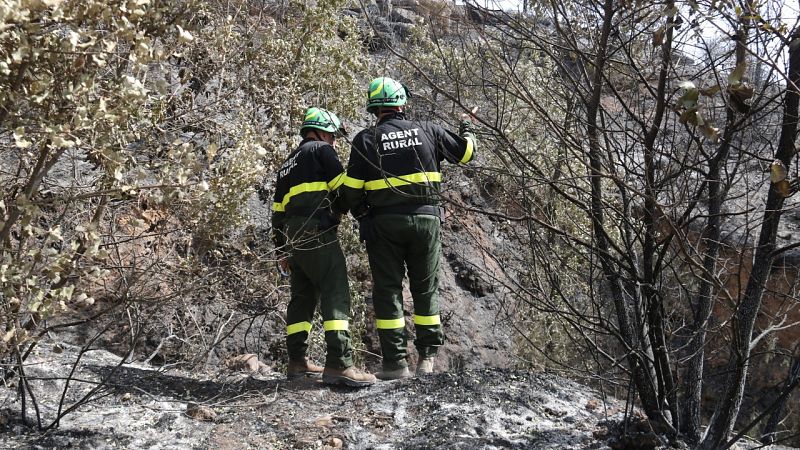 La Generalitat descarta restriccions generals per Sant Joan, però sí mesures locals - veure ara