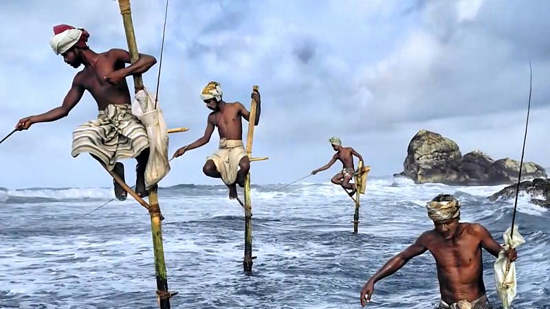 'McCurry, la búsqueda del color', un documental sobre el fotógrafo icónico